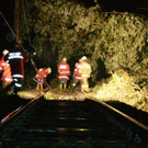 normal_14082011unwetternussdorfslbpm25.jpg