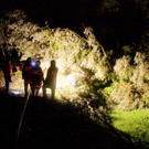 normal_14082011unwetternussdorfslbpm34.jpg