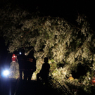 normal_14082011unwetternussdorfslbpm37.jpg