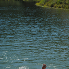 140811regattasfaktivnews055.JPG