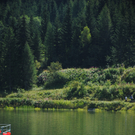 140811regattasfaktivnews029.JPG