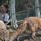 normal_13082011gutaiderbichlpmaktivnews__170_.jpg