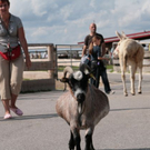 normal_13082011gutaiderbichlpmaktivnews__22_.jpg