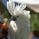 normal_14082011badewannrennzdaktivnews__110_.jpg