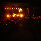 IMG_8665.JPG