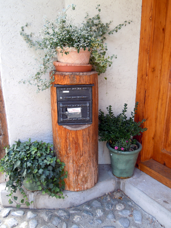 DSCN1525.JPG