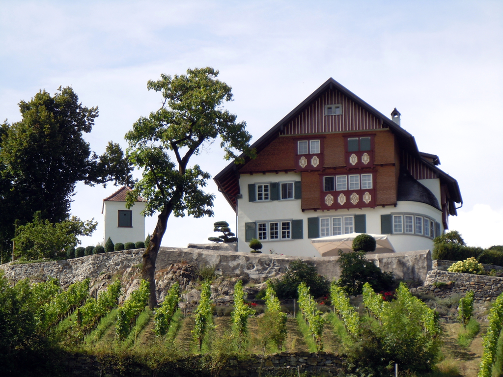 DSCN1530.JPG