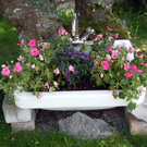 DSCN1533.JPG