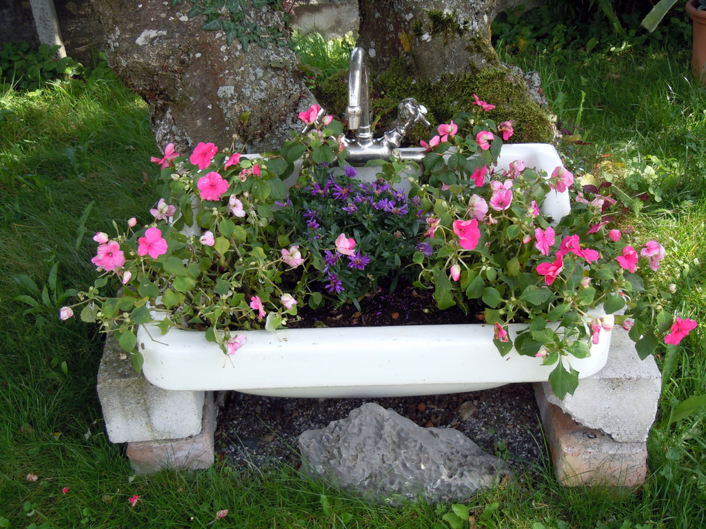 DSCN1533.JPG