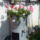 DSCN1534.JPG