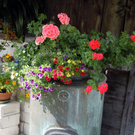 DSCN1535.JPG