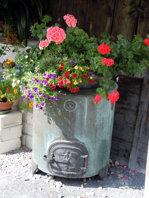 DSCN1535.JPG