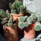DSCN1542.JPG