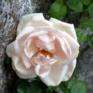 DSCN1543.JPG