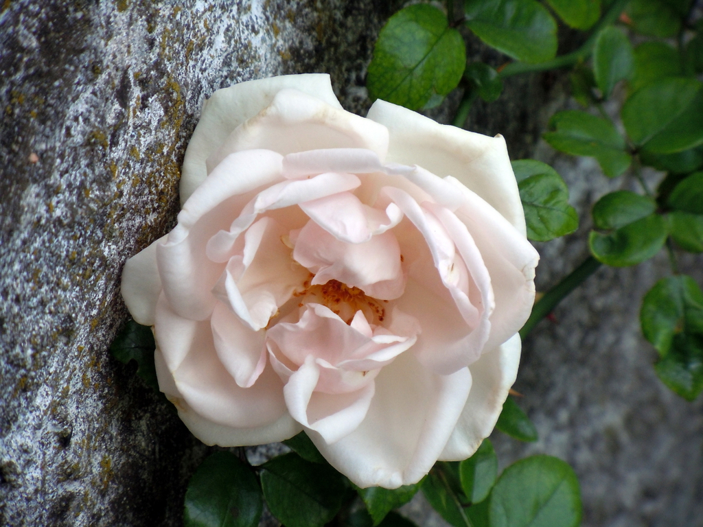 DSCN1543.JPG