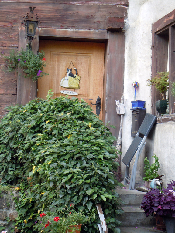 DSCN1546.JPG