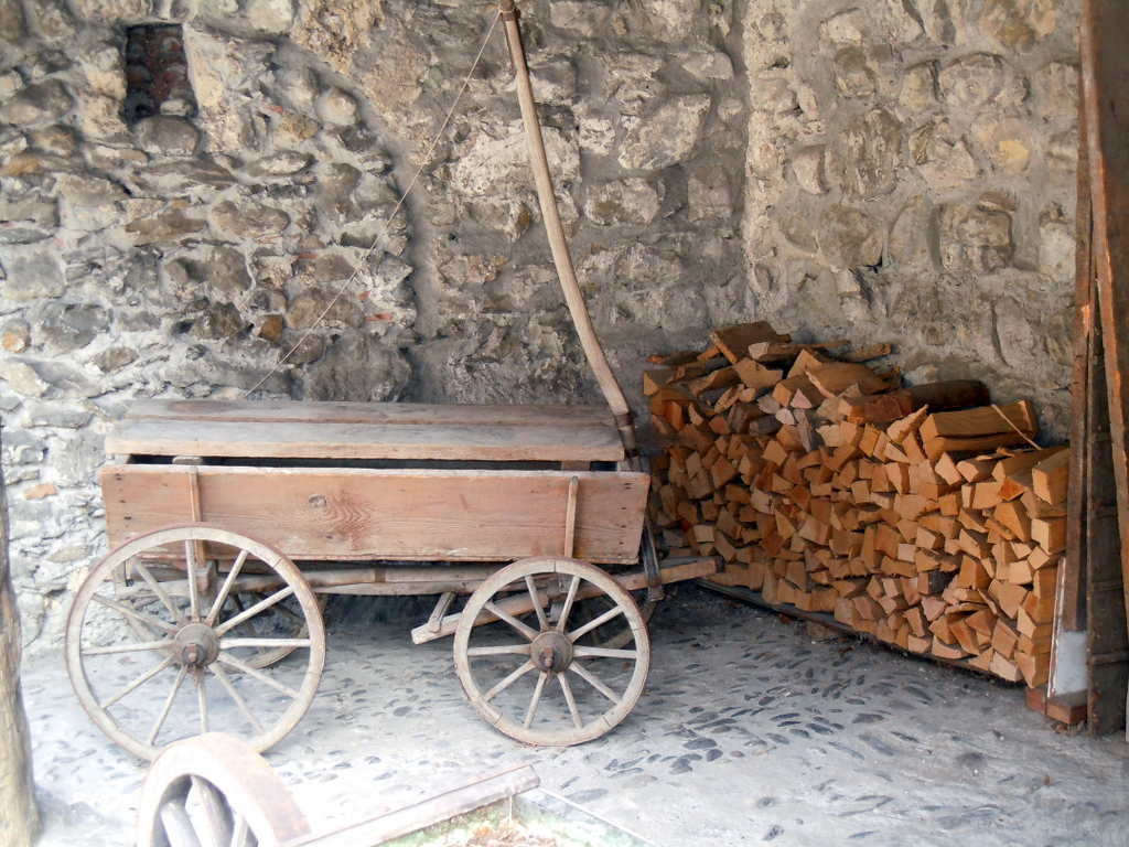 DSCN1557.JPG