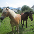 Tag der offenen T__r 312_jpg-1313496559