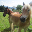 Tag der offenen T__r 313_jpg-1313496564