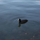 normal_16082011wetterfotomattseezsaktivnews-1021.jpg