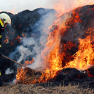 Strohballen in Biedermannsdorf in Flammen aufgegangen