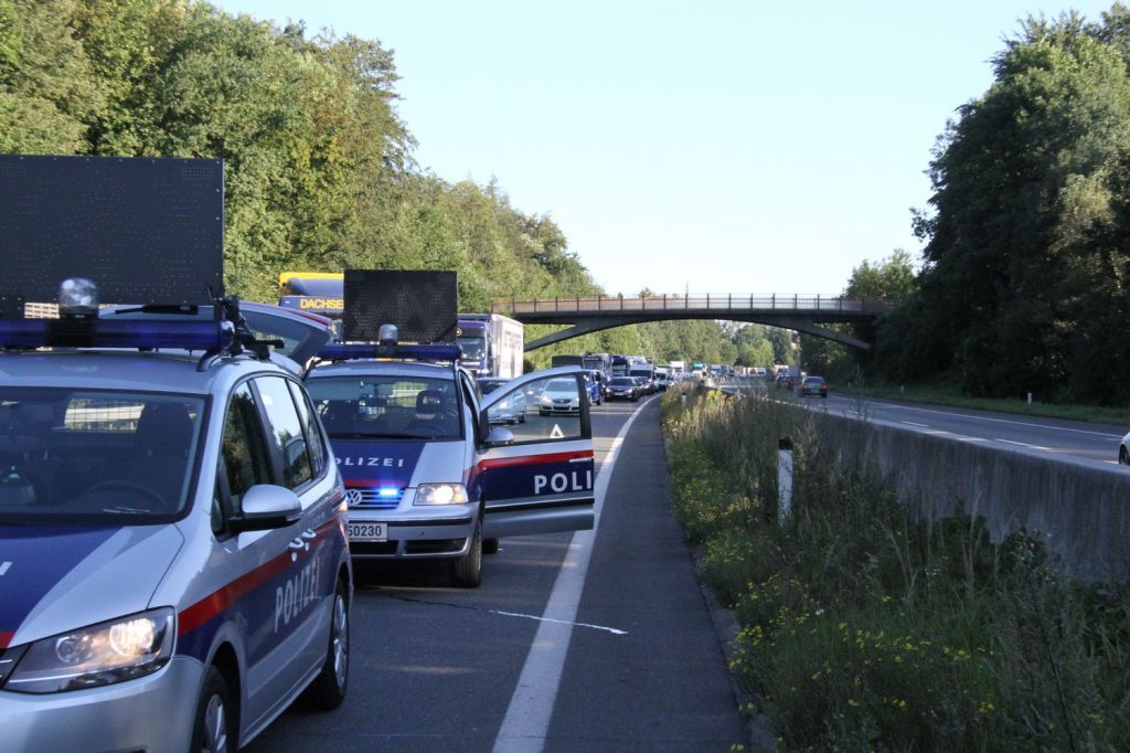normal_17082011vua10ffaktivnews_18.jpg