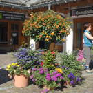 071_bearbeitet-1_jpg-1313579653