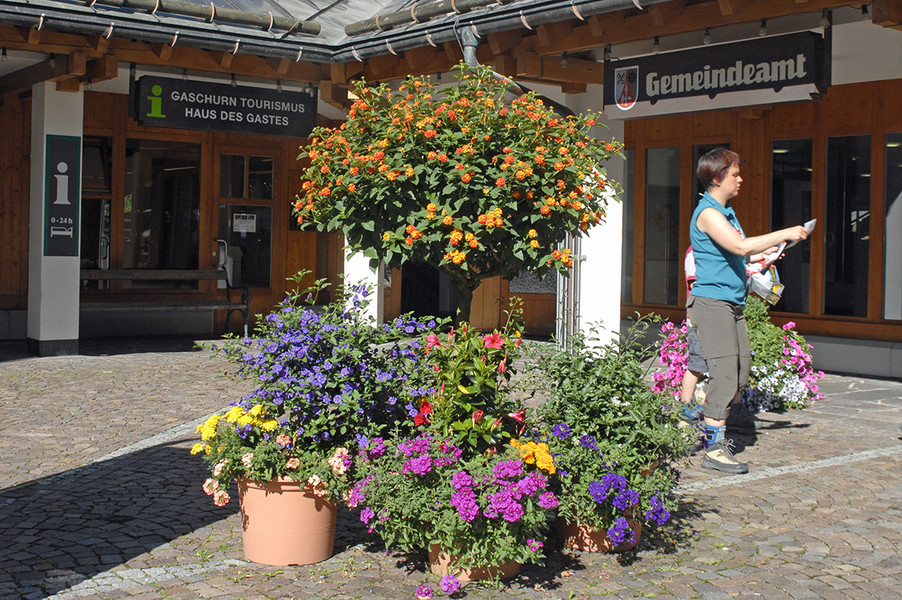 071_bearbeitet-1_jpg-1313579653