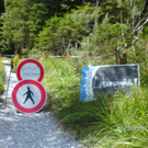 BILD0247_1_Kopie.jpg