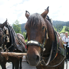 DSC04645.JPG