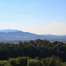 normal_17082011fmt_sommertagaufderfestung_mw_36.jpg