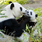 ABD0060-20110818.jpg