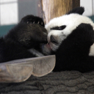 ABD0069-20110325.jpg