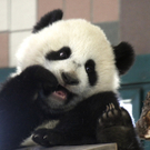 ABD0068-20110325.jpg