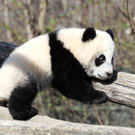 ABD0010-20110325.jpg