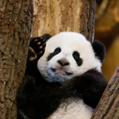 ABD0004-20110207.jpg