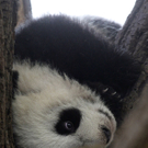 DAB2257-20110203.jpg