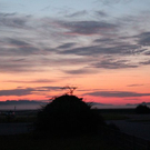 normal_18082011nebelsonnenaufgangfaaktivnews03.jpg