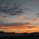 normal_18082011nebelsonnenaufgangfaaktivnews13.jpg