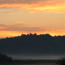 normal_18082011nebelsonnenaufgangfaaktivnews14.jpg