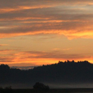 normal_18082011nebelsonnenaufgangfaaktivnews15.jpg