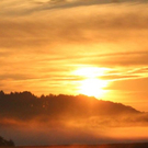 normal_18082011nebelsonnenaufgangfaaktivnews16.jpg