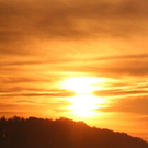 normal_18082011nebelsonnenaufgangfaaktivnews20.jpg