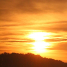 normal_18082011nebelsonnenaufgangfaaktivnews22.jpg