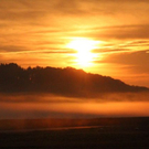 normal_18082011nebelsonnenaufgangfaaktivnews25.jpg