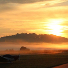 normal_18082011nebelsonnenaufgangfaaktivnews26.jpg
