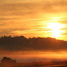 normal_18082011nebelsonnenaufgangfaaktivnews28.jpg