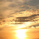 normal_18082011nebelsonnenaufgangfaaktivnews34.jpg