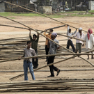 DAB1580-20110818.jpg