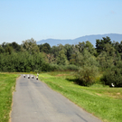 DSC00663_JPG-1313660493
